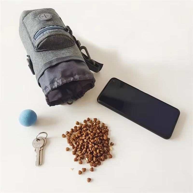 Carry all walking bag