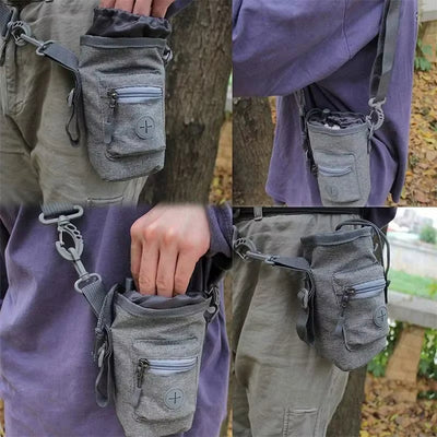 Carry all walking bag