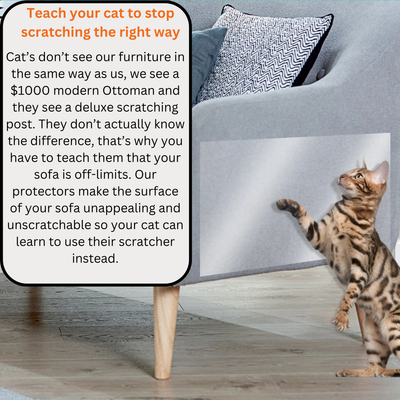 Sofa protectors