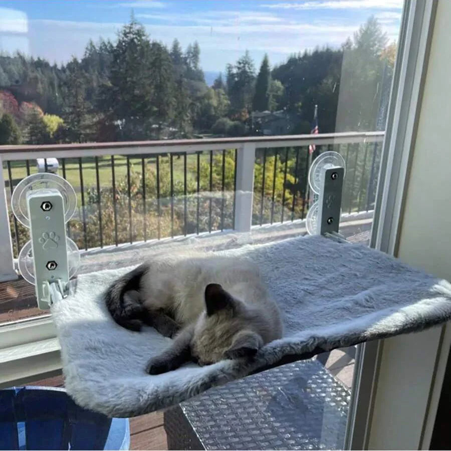 Foldable cat hammock