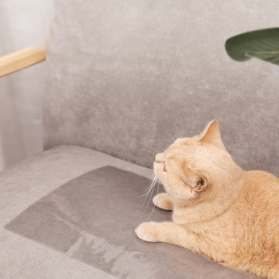 Sofa protectors