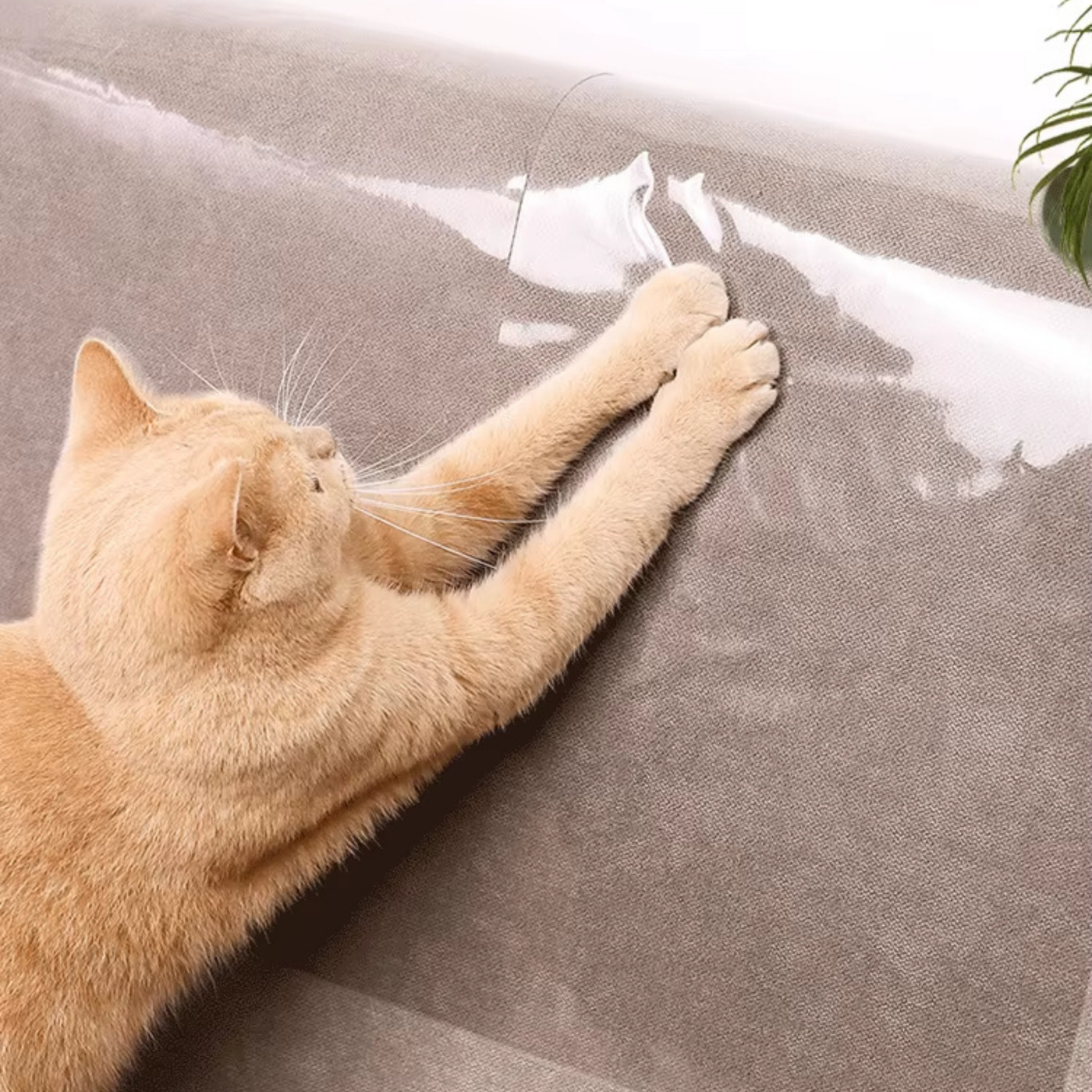Sofa protectors