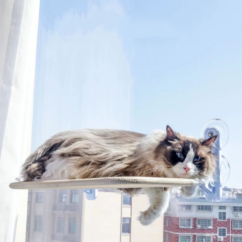 Foldable cat hammock